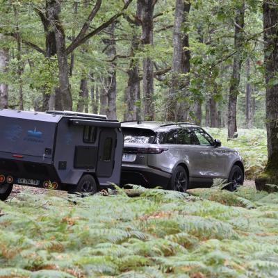 Trailer Liberty Wicker 9